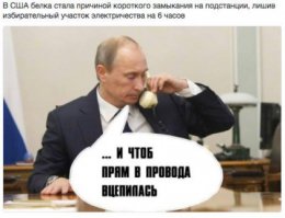 Белка сорвала досрочные выборы в США