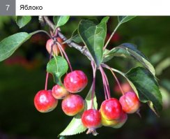 Кстати - ничего так, пробовал когда-то.