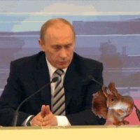 Белка сорвала досрочные выборы в США