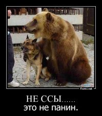 Смешные комментарии и высказывания из социальных сетей