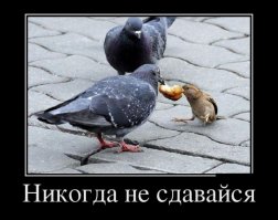 «Заклинатель зверей» ездит по миру и делает ужасно милые селфи с животными