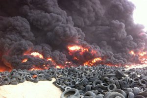 Красота и ее жертвы