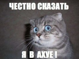 Самая большая задница в Западной Африке