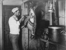 Освежевание пингвина коком корабля Endurance во время Имперской Трансантарктической экспедиции. 1915 год.