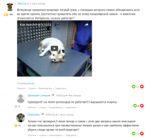 Смешные комментарии фишкян