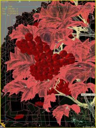 Нет. Вот сетка.