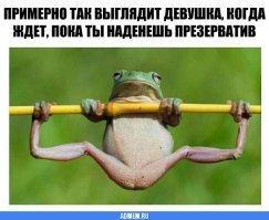 Храбрые лягушки решили станцевать на спине у крокодила