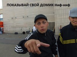 Деревянная хижина посреди леса в Нидерландах