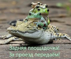 Храбрые лягушки решили станцевать на спине у крокодила