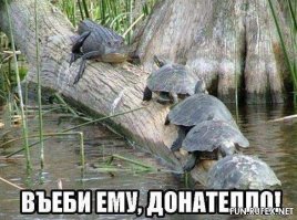 вспомнилось(правда с черепахами)