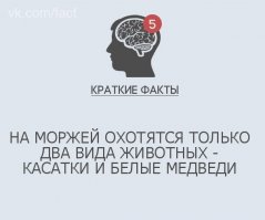 Не два а три