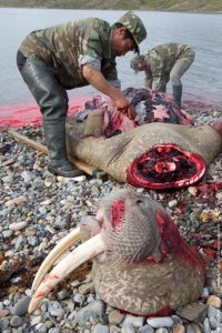 Не два а три