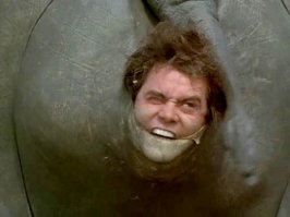 «Заклинатель зверей» ездит по миру и делает ужасно милые селфи с животными