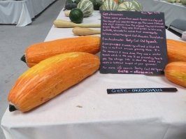 Думал будет фото их новости, где археологи в бостоне нашли горшок, а в нем семена сквоша (что то среднее между кабачком и тыквой) времен первых колонистов. Посадили их и вот такие кабачке-тыквы выросли.
А семенам было 800 лет