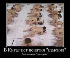 Я думаю у пингвинов так же как и у китайцев :)