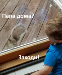 Фотоподборка за 08.11.2016