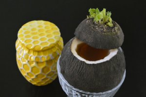 Редька с медом.У меня даже дети это не отказываются пить.