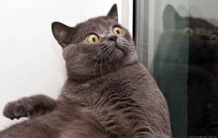 15 процедур, на которые решились знаменитости ради красоты