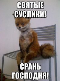 Сотрудник секс-шопа