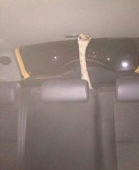 Свежая подборка автоприколов