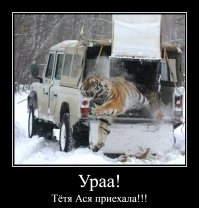 Фотоподборка за 08.11.2016