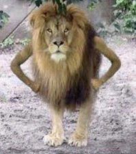 Юмор средневековья