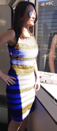 15 дурацких вирусных видео: чего не сделаешь, чтобы прославиться