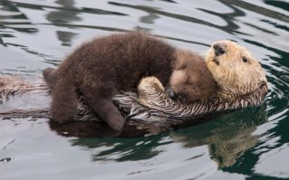 Понравилось :)