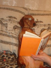 Фишки превращаются в сайт для дебютантов сказочников.