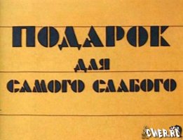 Беги, Форрест, беги! Как детеныши морской игуаны пытались выжить в первые минуты своей жизни