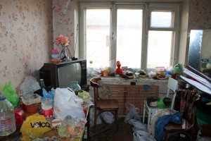 Да через неделю их домики будут выглядеть так:
