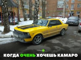 а у тебя мустанг