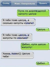 Автор может деньги зарабатывать. Школьникам сочинения писать. Главное что бы была тема. Вот как тут по мотивам забавных сообщениях в социальных сетях