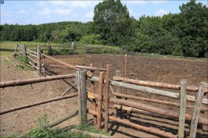 в самый раз