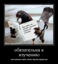 Мой учитель литературы называл голубей «городскими ублюдками»