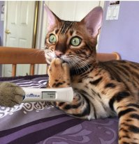 Волшебные вещи из сказок: как они выглядят в ХХI веке