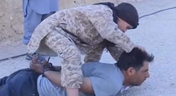 Есть такое понятие - умиление. Глядя на эти снимки испытываешь умиление, а не веру в человечество. Слишком несимметрично к тому, что понимается большинством как Зло.