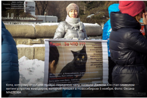 Новосибирские зоозащитники спасают черного кота, принесенного в жертву в Хеллоуин.Молоденький кот стал частью ритуала сатанистов.