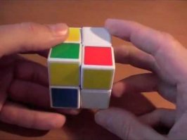 какой из них?