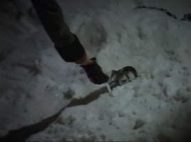 Действительно, вынимает из сугроба Басилашвили.