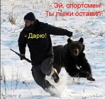 Селфи с медведями. Они думают, что это шутки?