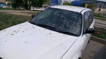 Гульки - бомбардировщики...