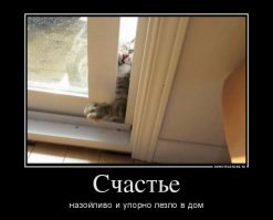 Фотоподборка за 10.11.2016