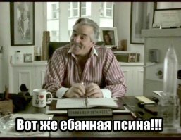 Хозяйка, ты только не ругайся! Собака превратила в свинарник квартиру своей хозяйки 
