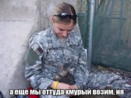 Женщина-солдат отказалась покидать Афганистан без больной кошки