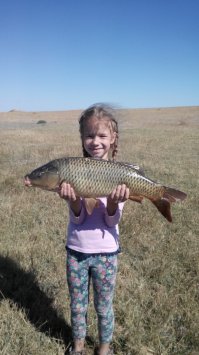 Ныряю только 2 года и только в море. Западная часть Крыма. Сам я с Евпатории. На пресняке еще ни разу не пробовал, т.к. негде, но говорят ныряют на Сасыке, но там нужно места знать где родники, иначе мутняк. И то его теперь Заповедником сделали, блин а я там все лето вот таких красавцев тягал. Внизу 1,2кг верхний 8,6 кг. И еще пару фоток моей помощницы. Жду погоды и хочу за камбалой занырнуть, при России ее стрелять можно))), но только больше 40см.