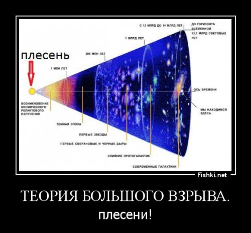 Как избавиться от плесени навсегда?