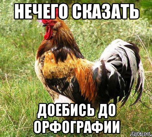 Пост, после просмотра которого вы навсегда откажетесь от общественного транспорта
