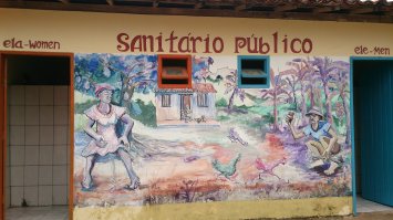 добавлю из своего архива: бразильская глубинка, общественный туалет в Вале ду Капао, нац.парк Шапада. Образец байанского натуралистического стритарта. Как вам?)