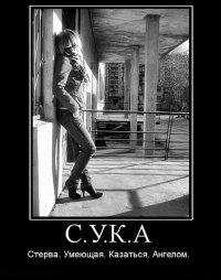 Стервы и шантрапа, лохи и дураки - оскорбительные слова в нашем лексиконе и их происхождение